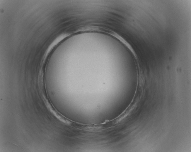 X0000070371053200606231642