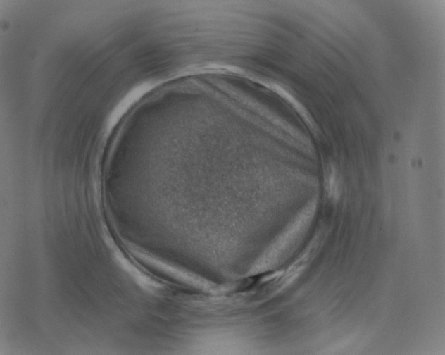 X0000070371054200606231642