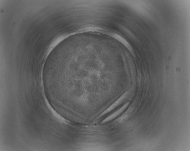 X0000070371055200606231642