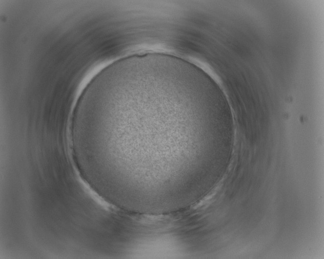 X0000070371056200606231642