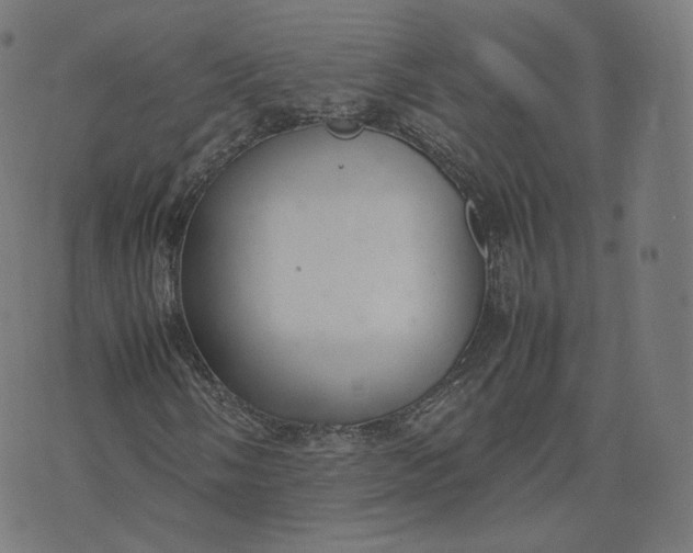 X0000070371058200606231642