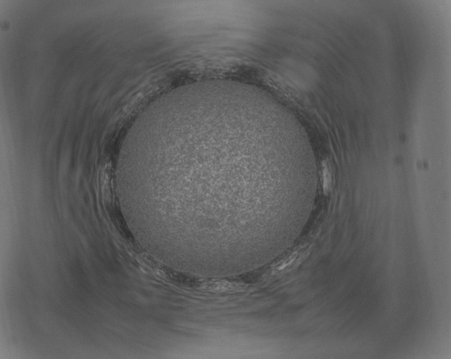 X0000070371059200606231642