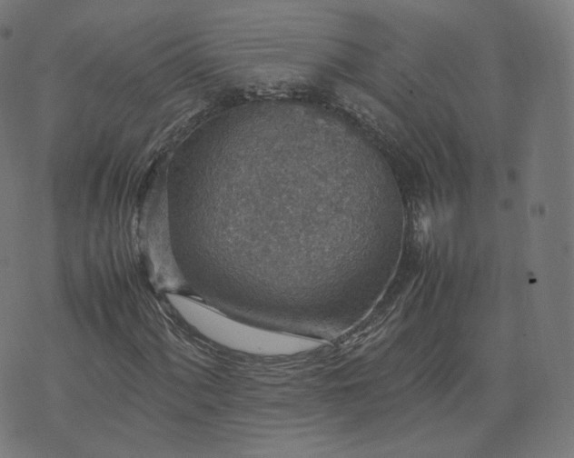 X0000070371060200606231642