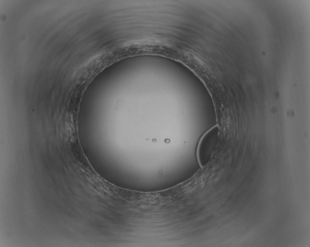 X0000070371062200606231642