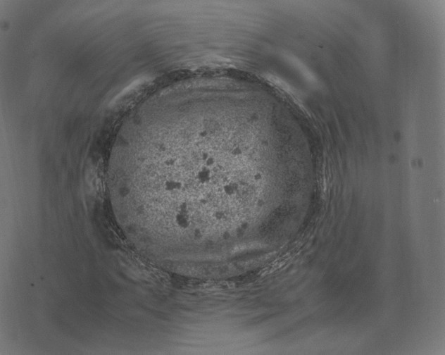 X0000070371063200606231642