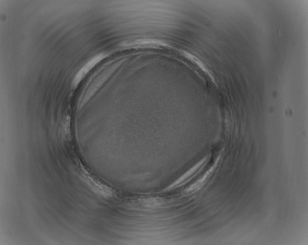 X0000070371066200606231641