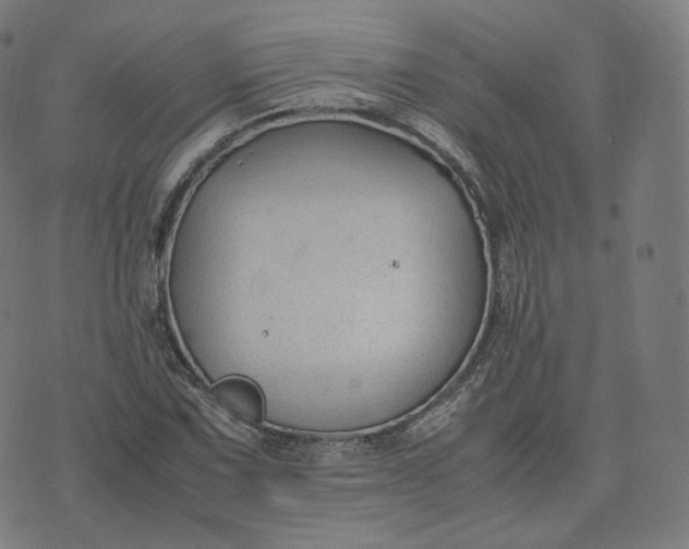 X0000070371067200606231641