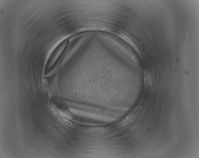 X0000070371068200606231641