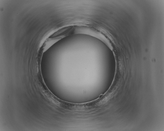 X0000070371069200606231641