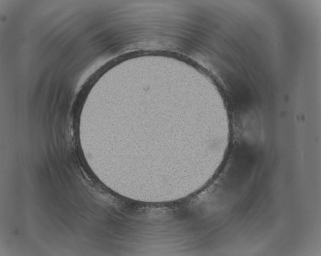 X0000070371070200606231641