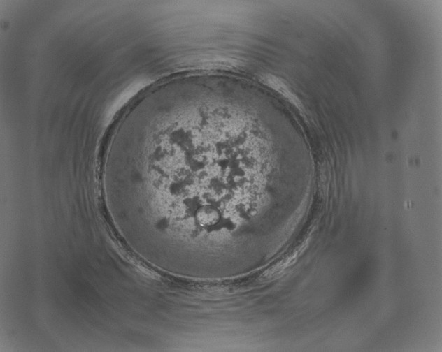 X0000070371071200606231641