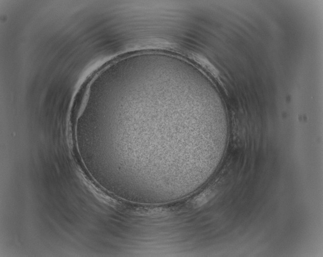 X0000070371072200606231641