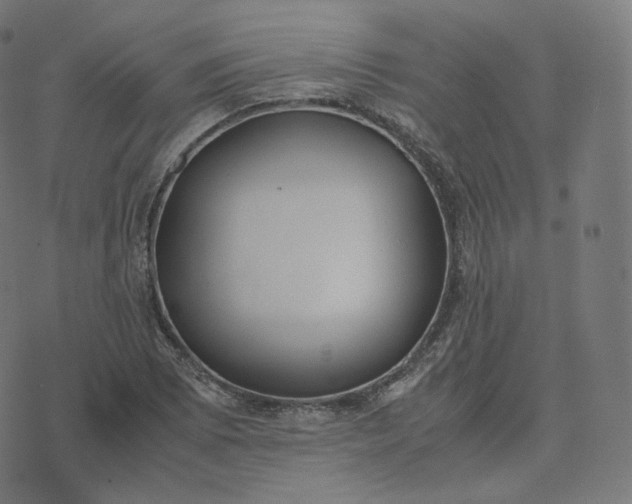 X0000070371073200606231641