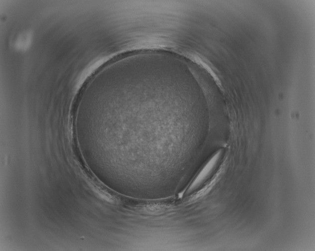 X0000070371077200606231641