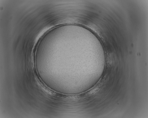 X0000070371078200606231641