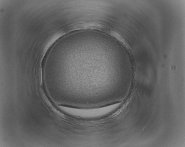 X0000070371079200606231641