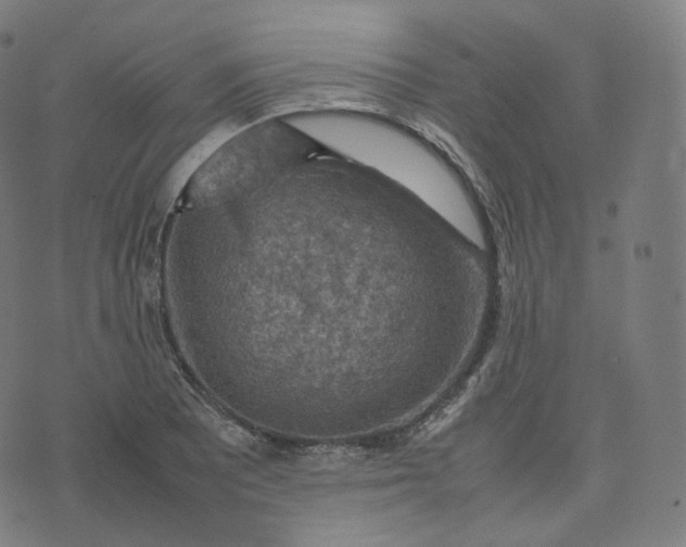 X0000070371081200606231641