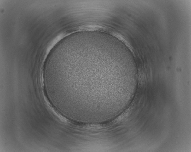 X0000070371083200606231641