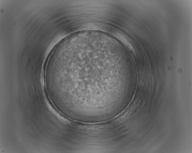 X0000070371084200606231641