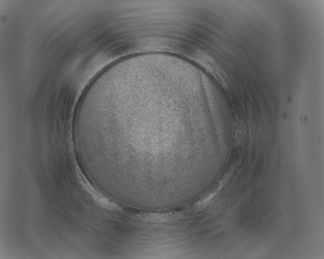 X0000070371086200606231641