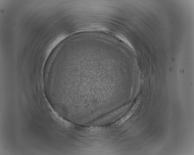 X0000070371087200606231641