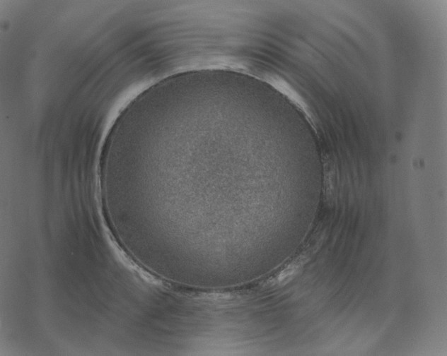 X0000070371088200606231641