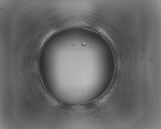 X0000070371089200606231641