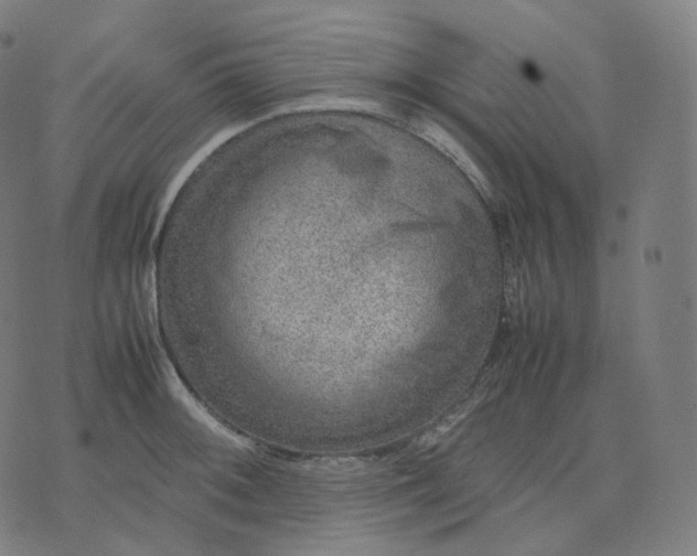 X0000070371092200606231641