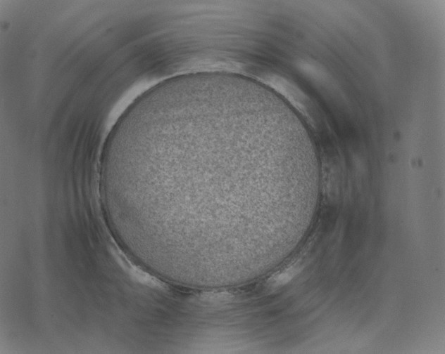 X0000070371094200606231641