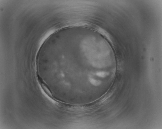 X0000070371095200606231641