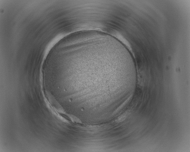 X0000070371096200606231641