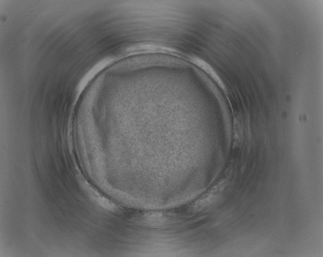 X0000070371098200606231641