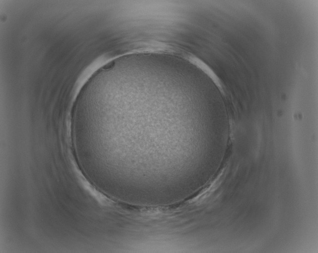 X0000070371099200606231641