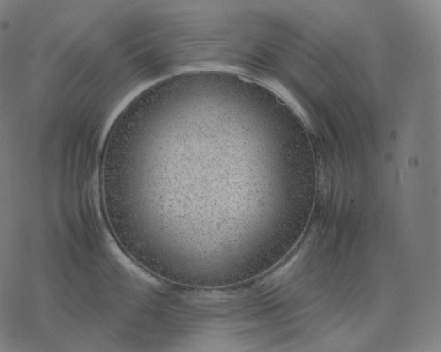 X0000070371100200606231641