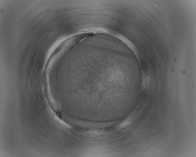 X0000070371102200606231641