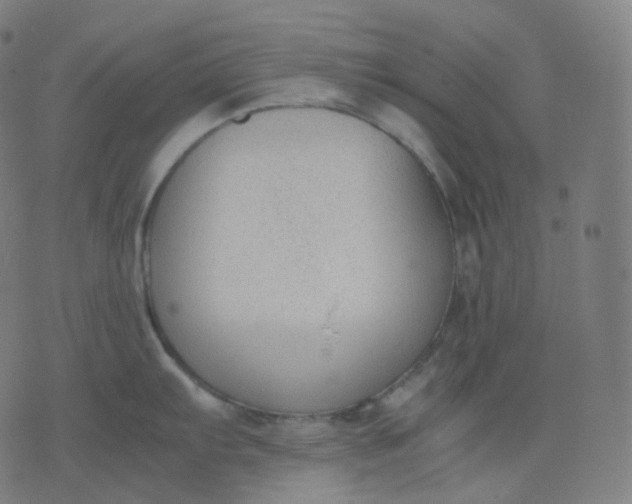 X0000070371103200606231641