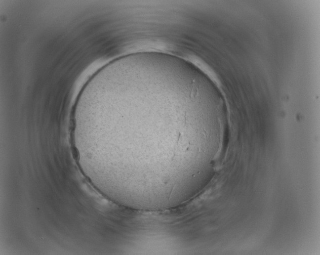 X0000070371104200606231641