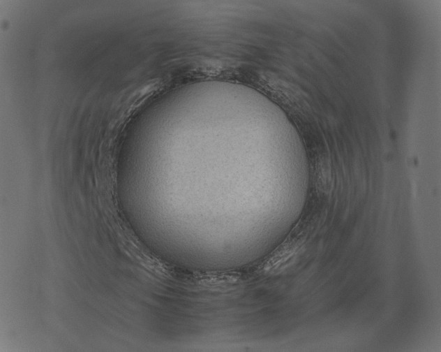 X0000070371105200606231640