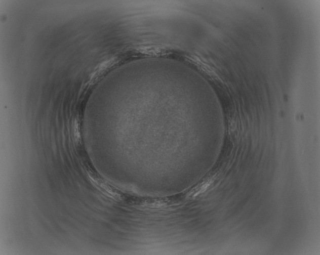 X0000070371106200606231640