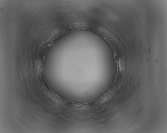 X0000070371107200606231640