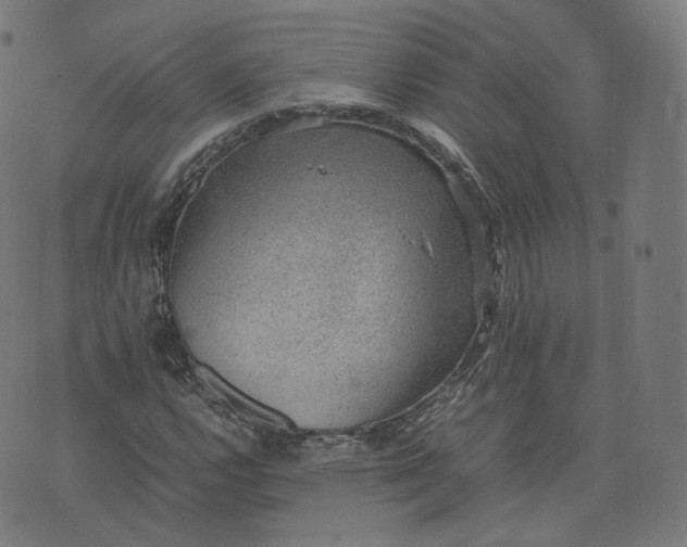 X0000070371112200606231640