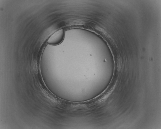 X0000070371113200606231640