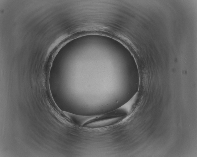 X0000070371114200606231640