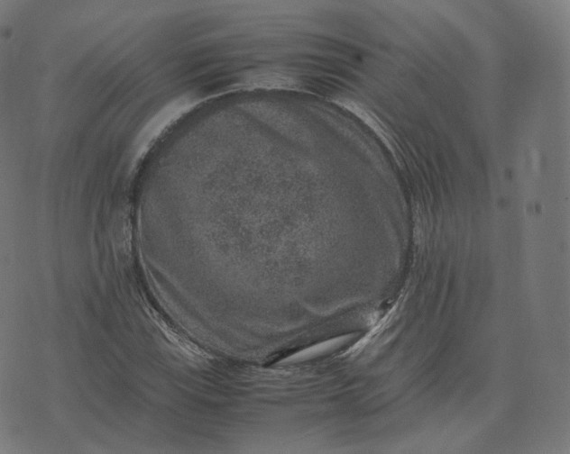 X0000070371115200606231640