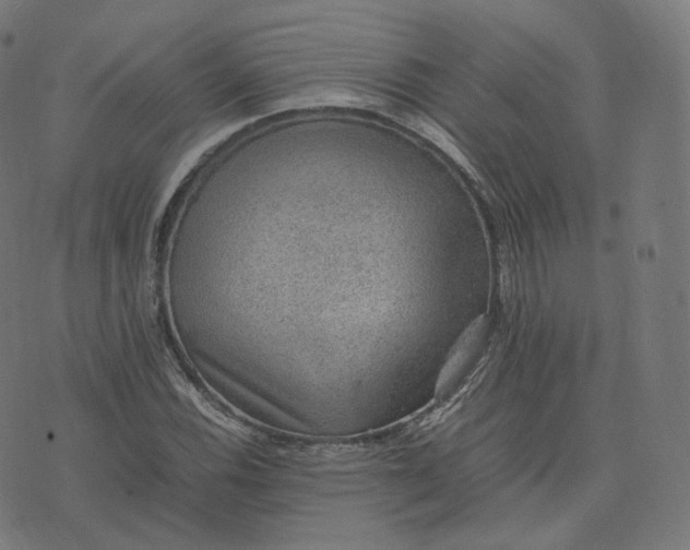 X0000070371116200606231640