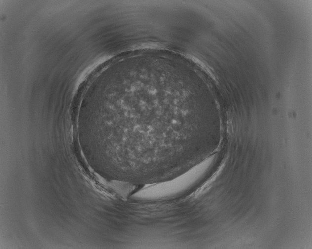 X0000070371117200606231640