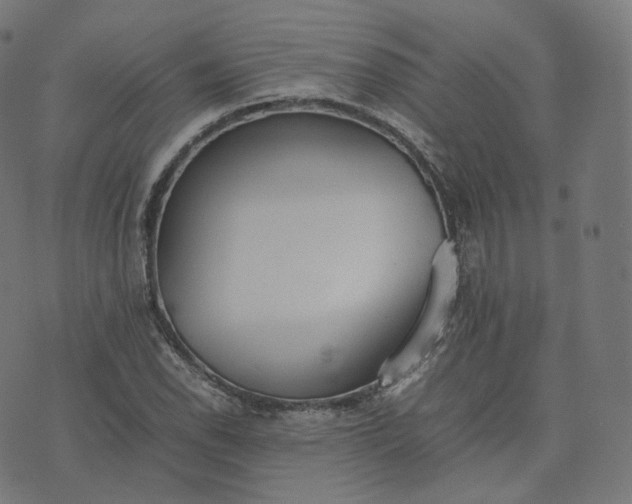 X0000070371118200606231640