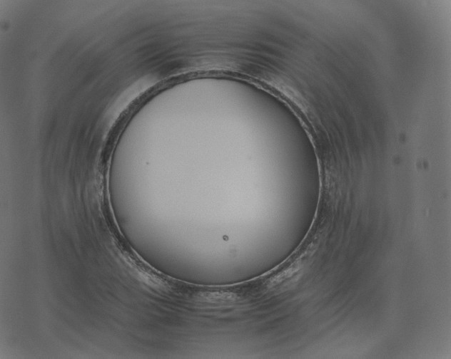 X0000070371119200606231640