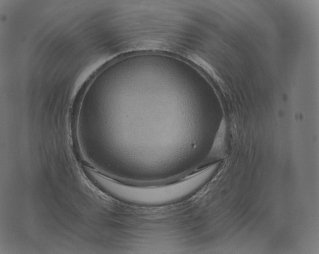 X0000070371120200606231640