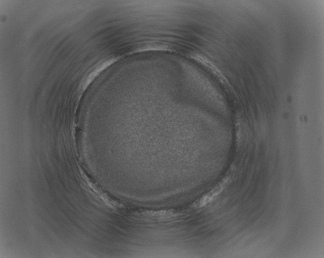 X0000070371121200606231640